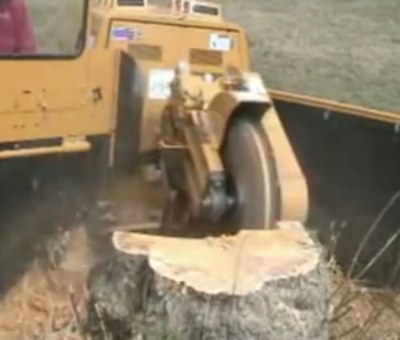 grinding a stump in austin-tx