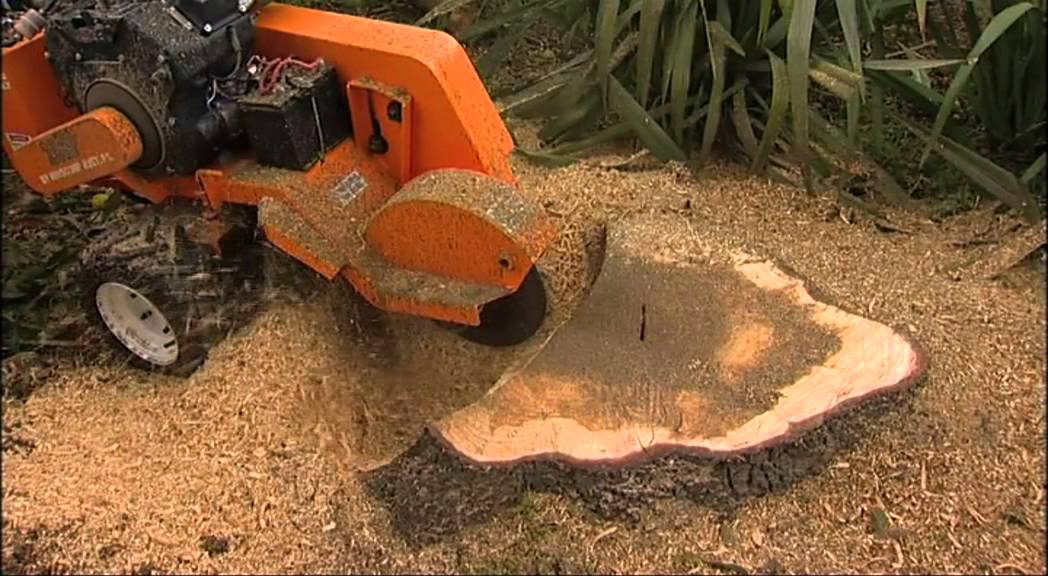 stump-grinding-and-removal-austin-tx